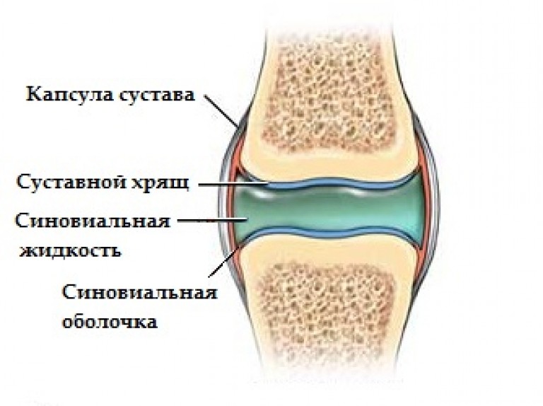 319Ногти это хрящ или