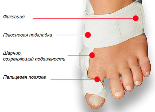 Здоровые и красивые ноги: как ухаживать и заботиться о ногах